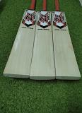 ZX Sports STEEL SPRING English Willow bat 2024 - FREE KNOCKING