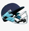 SHREY STAR STEEL 2.0 Cricket Helmet