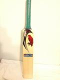 Cricket Bat for Kids aged 9 - 12 year old