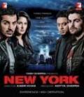 New York (2009) BLU RAY DVD English subtitles