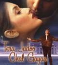 Tera Jadoo Chal Gaya bollywood dvd with english subtitles