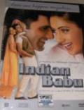Indian Babu (DVD, 2005) Indian Babu (DVD, 2005)