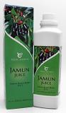 Vedic Secret Healthy Tasty Fresh Jamun Juice Pulp Jamun Seed Extract