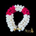 White and Pink Flower Veni