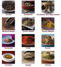 Pack of 13 Aromatic Authentic Essential Spices from India Pack of 13 Aromatic Authentic Essential Spices from India