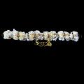 White and Gold Flower Veni