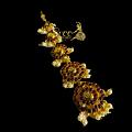 5 Step Kempstone Flower Tikka 5 Step Kempstone Flower Tikka